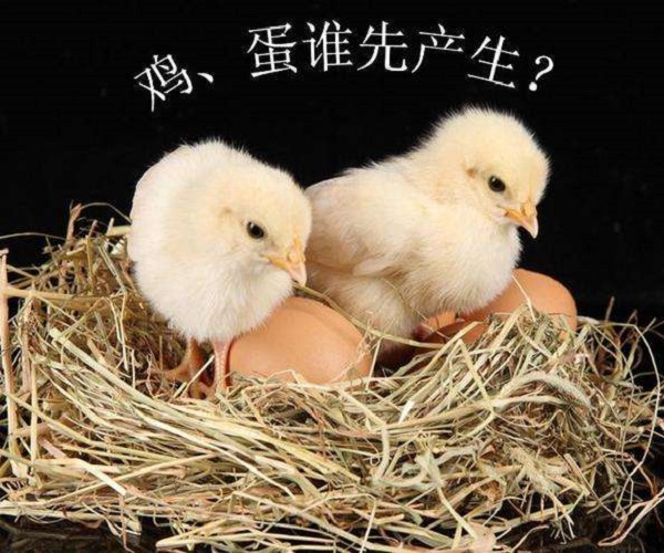 先有鸡先有蛋 答案图片
